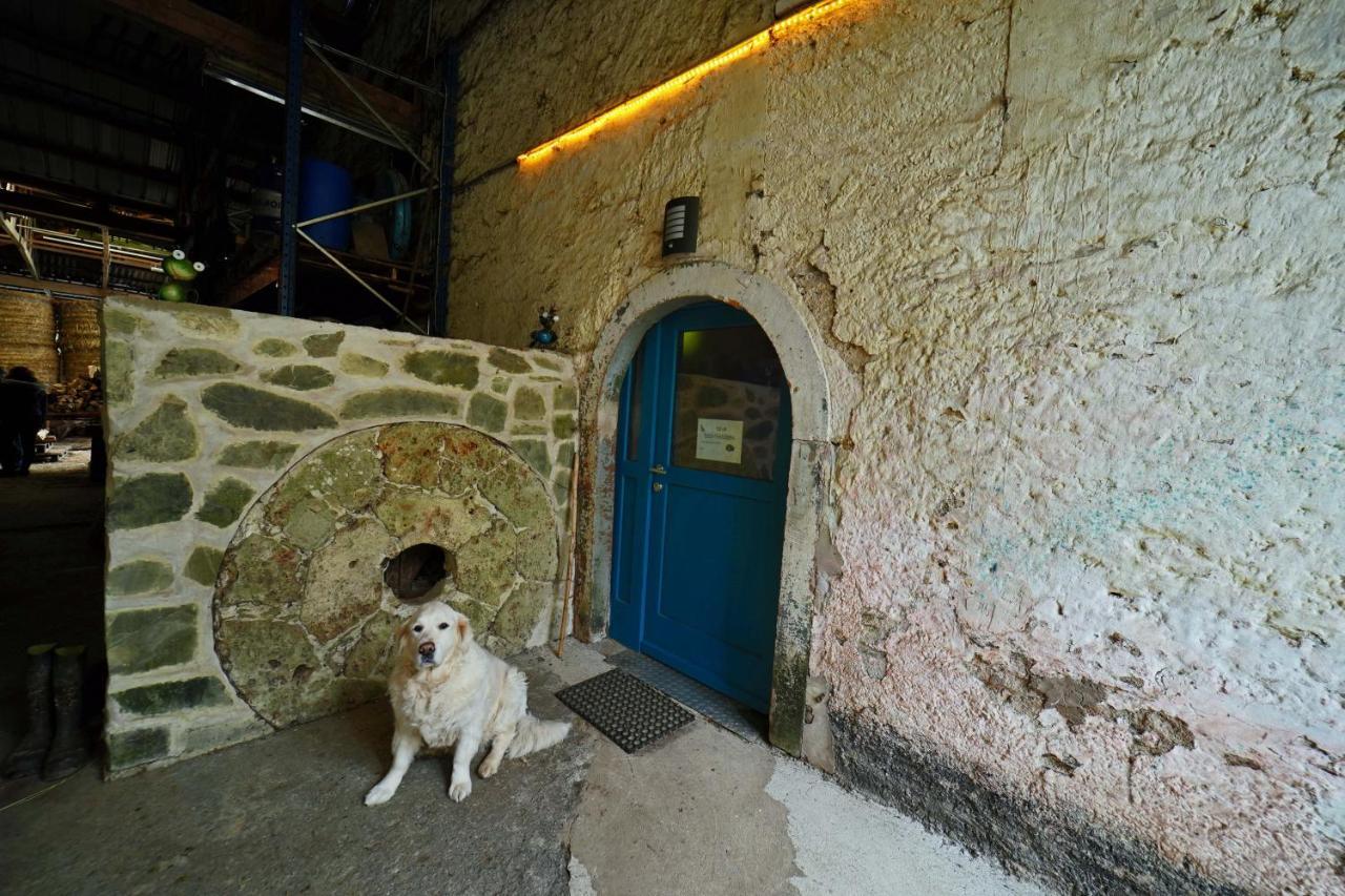 Bockholtz Room In Farmhouse Berkel المظهر الخارجي الصورة